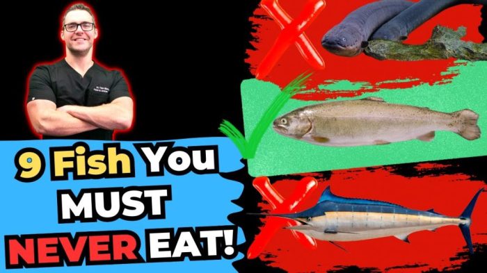 Fish eat should never seafood food safer options
